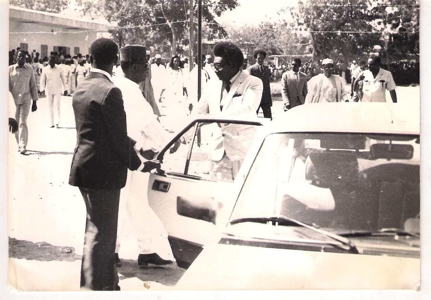 انجمينا 1983